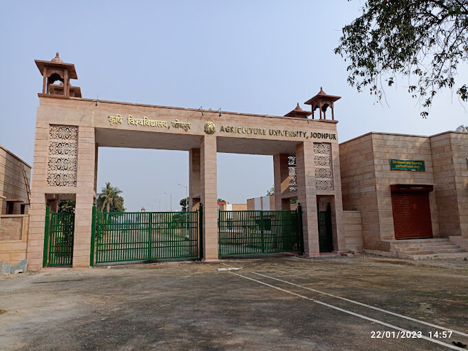 AGRICULTURE UNIVERSITY, JODHPUR